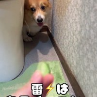 あれれ？？