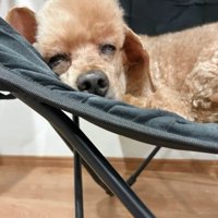 無防備なイオくん