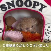 モコちゃん、よかったね！