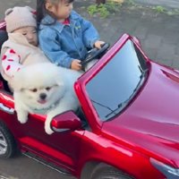 みんなでドライブしよう♪