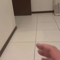 他の犬を撫でるふりをする飼い主さん