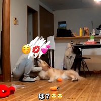 こむぎ君にキスするパパ