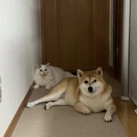 愛もビッグになりました