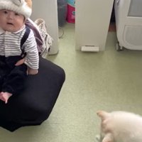 おまめちゃんと赤ちゃんの別れ6