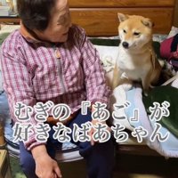家の中での様子