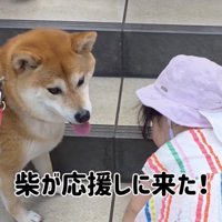 温かく見守ります