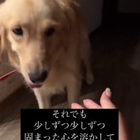 少しずつ心の距離を縮めて…