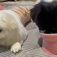 一緒に食事をしていたら…