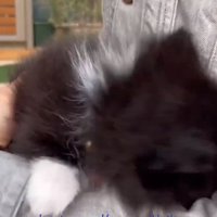 レイくんのアップ