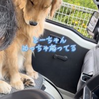 しょんぼり座る犬と手元を直す人