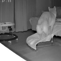 「結構ユラユラするなあ…」