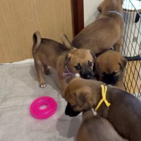 みんな逃げちゃった！！