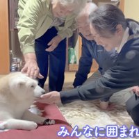 真っ先にあいちゃんの元へ