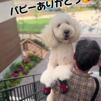 「やっぱりパパが一番♡」