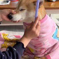美容院のお客さん