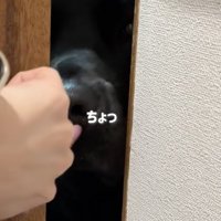 この後、ドアが閉まります