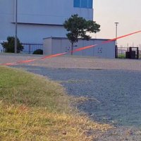 犬の散歩に挑戦！