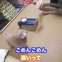 「なんで遅かったの！！」