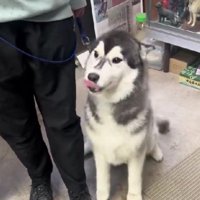 「すごいでしょ？」