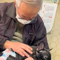 薄目のぶーちゃん