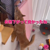 らむねちゃんとお姉ちゃんの再会⑩
