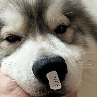 不満げなお顔が可愛い♡