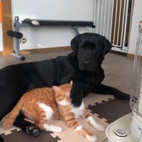 突然ムニくんがパンチ！