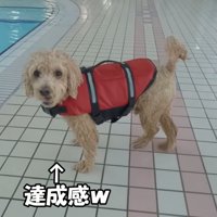 得意げなお顔が可愛い♡