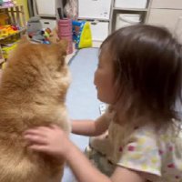 「大丈夫だよ」