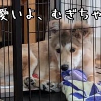 これはこれで可愛い♡