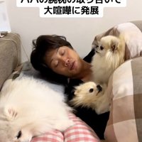 我関せずのメルちゃん