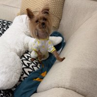 疲れると老け顔になっちゃう