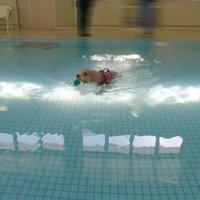 ボールをパクっとくわえて…