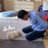 無視されちゃった