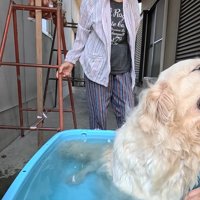「水風呂、最高～っ！」