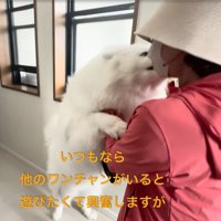 嬉しさを爆発させるセブンちゃん