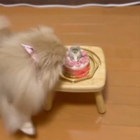 くるっ