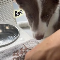 タオルを指さすママ