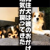 ダニエルくんとの数ヶ月間4