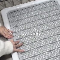 犬のトイレをセッティングする飼い主さん