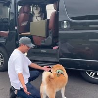 ホームセンターに買い物に行くことに