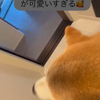 忠太くんの熱烈歓迎8