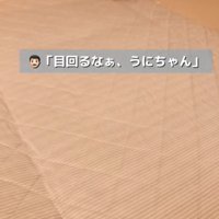 走る犬4