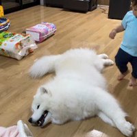 お昼寝をしていたら…