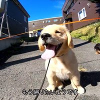 座り込んで「帰りたい」とアピール