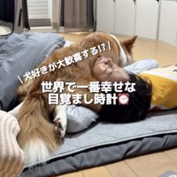 パパの首の上でZZZ…