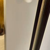 入院生活を送っていたモナちゃん