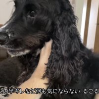るこる君は全く動じず、お手々で抵抗