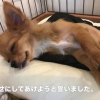 「絶対に幸せにしてあげよう」