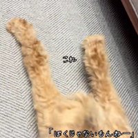 犯人確定！！